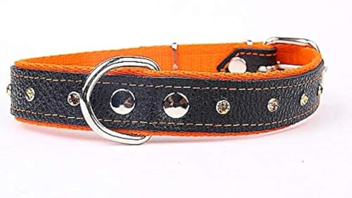 Capadi K0126 Hundehalsband verziert mit farbigen Chrystalsteinen weich unterlegt und Starkes Halsband aus Echtleder, Orange, Breite 30 mm, Länge 60 cm von Capadi