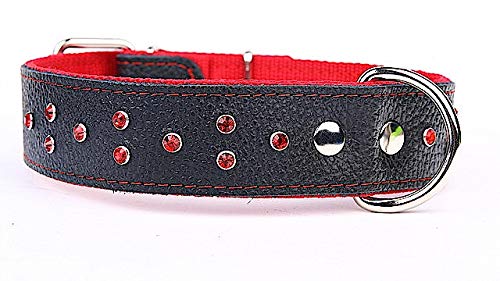 Capadi K0142 Hundehalsband verziert mit farbigen Chrystalsteinen weich unterlegt und Starkes Halsband aus Echtleder, Rot, Breite 40 mm, Länge 65 cm von Capadi