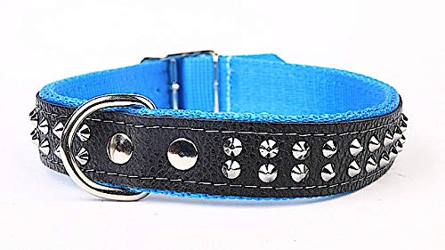Capadi K0223 Hundehalsband verziert mit Ziernieten aus echtem strapazierfähiges Leder gefüttert mit starkem Nylon, Blau, Breite 30 mm, Länge 56 cm von Capadi