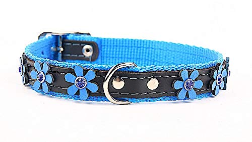 Capadi K0293 Hundehalsband verziert mit Blumen und Christallen aus echtem strapazierfähiges Leder weich unterlegt, Blau, Breite 30 mm, Länge 65 cm von Capadi