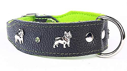 Capadi K0305 Hundehalsband für Bulldoge verziert mit Metallaplikation aus echtem strapazierfähiges Leder weich unterlegt, Grün, Breite 40 mm, Länge 45 cm von Capadi