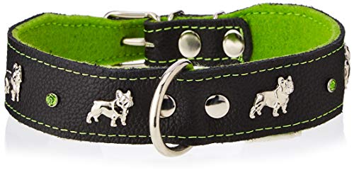 Capadi K0325 Hundehalsband für Bulldoge verziert mit Metallaplikation aus echtem strapazierfähiges Leder weich unterlegt, Grün, Breite 40 mm, Länge 55 cm von Capadi