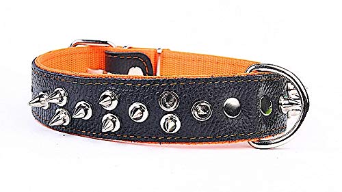 Capadi K0416 Breiter Hundehalsband für Bulldoge mit kleinen Nietenverzierungen aus echtem strapazierfähiges Leder weich unterlegt, Orange, Breite 40 mm, Länge 65 cm von Capadi