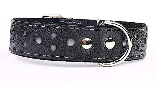 Capadi K0431 Hundehalsband breit reflektierend aus echtem strapazierfähiges Leder weich unterlegt, Schwarz, Breite 40 mm, Länge 65 cm von Capadi