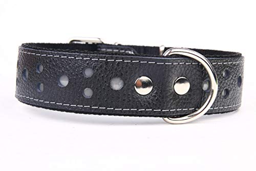 Capadi K0461 Hundehalsband verziert mit farbigen Christallsteinen und kleinen Nieten aus echtem strapazierfähiges Leder weich unterlegt, schwarz, Breite 50 mm, Länge 50 cm von Capadi