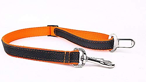 Capadi K0706 Autosicherheitsgurt für den Hund weich unterlegt und Starkes Hundehalsband aus Echtleder, Orange, Breite 25 mm, Länge 70 cm von Capadi