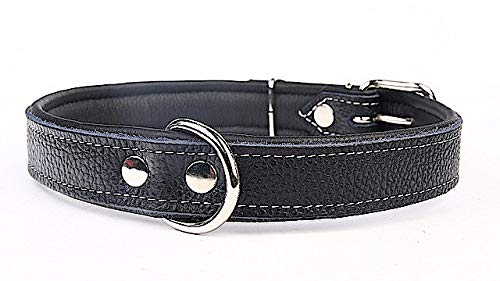 Capadi K0711 Hundehalsband mit Napaleder unterlegt und Starkes Halsband aus Echtleder, Schwarz, Breite 30 mm, Länge 52 cm von Capadi