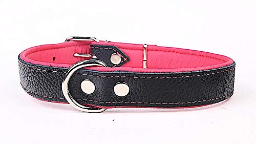 Capadi K0714 Hundehalsband mit Napaleder unterlegt und Starkes Hundehalsband aus Echtleder, Pink, Breite 30 mm, Länge 52 cm von Capadi