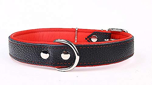 Capadi K0722 Hundehalsband mit Napaleder unterlegt und Starkes Hundehalsband aus Echtleder, Rot, Breite 30 mm, Länge 56 cm von Capadi