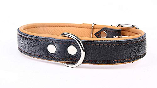 Capadi K0737 Hundehalsband mit Napaleder unterlegt und Starkes Hundehalsband aus Echtleder, Braun, Breite 30 mm, Länge 63 cm von Capadi