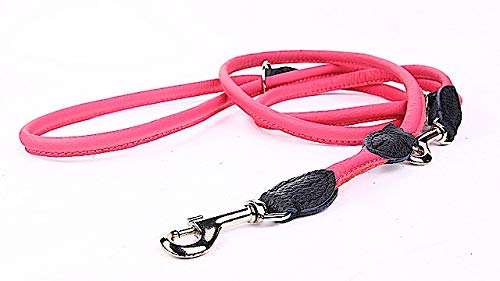 Capadi K0824 Hochwertige Runde verstellbare Hundeleine Starke Nylon umhüllt mit weichem Leder, Pink, Breite 12 mm, Länge 220 cm von Capadi