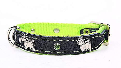 Capadi K0855 Hundehalsband verziert mit Metallaplikation weich unterlegt und Starkes Hundehalsband aus Echtleder, Grün, Breite 16 mm, Länge 35 cm von Capadi