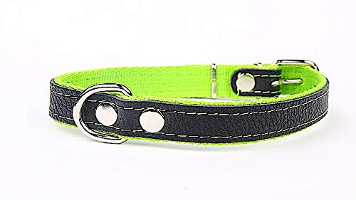 Hundehalsband weich unterlegt und starkes Halsband aus Echtleder Grün Breite 25mm Länge 55cm von Capadi