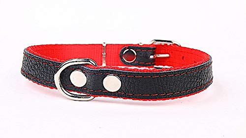Hundehalsband weich unterlegt und starkes Halsband aus Echtleder Rot Breite 25mm Länge 55cm von Capadi