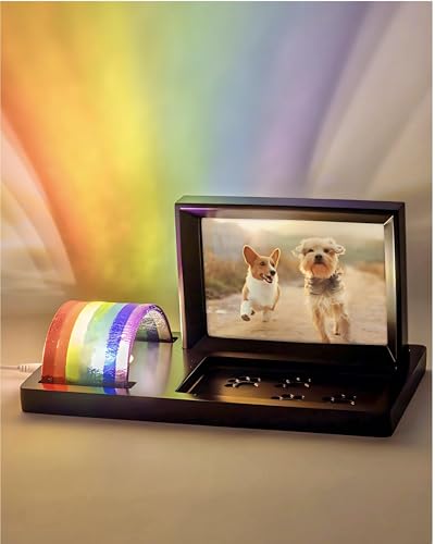 Capti Regenbogen Brücke Licht und Hund Fotorahmen - Strahlende Hund Gedenkgeschenke für den Verlust von Haustier, Regenbogen Glas Hund Gedenkrahmen, LED-Licht, für Trauer, Trauer und Verlust eines Capti Regenbogen Brücke Licht und Hund Fotorahmen - Strahlende Hund Gedenkgeschenke für den Verlust von Haustier, Regenbogen Glas Hund Gedenkrahmen, LED-Licht, für Trauer, Trauer und Verlust eines von Capti