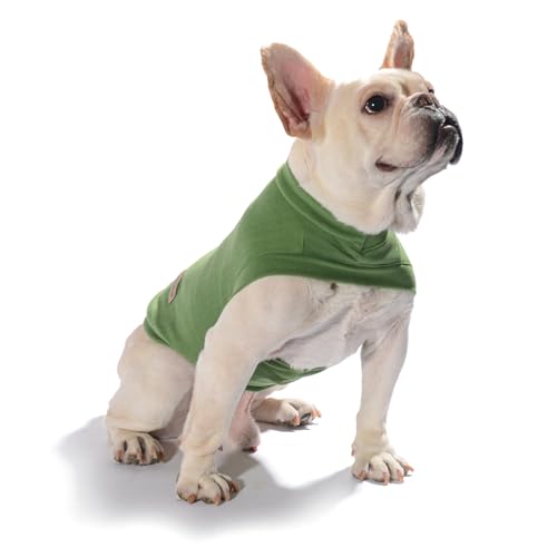 Caracaleap Hund Pullover - Hundemantel Weiche und Warm T-Shirt Hunde Winter Kleidung Mantel Katzenpullover Sweater für Mittelgroße Hunde L Grün von Caracaleap