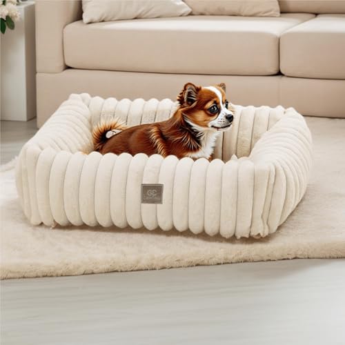 CareCooo Flauschiges Hundebett Kleine Hunde, Waschbar Abnehmbar, Rechteckig, rutschfest & Komfortabel, Hundekörbchen, Hundekissen für Welpen, weiß, S(50x48x15cm) von CareCooo
