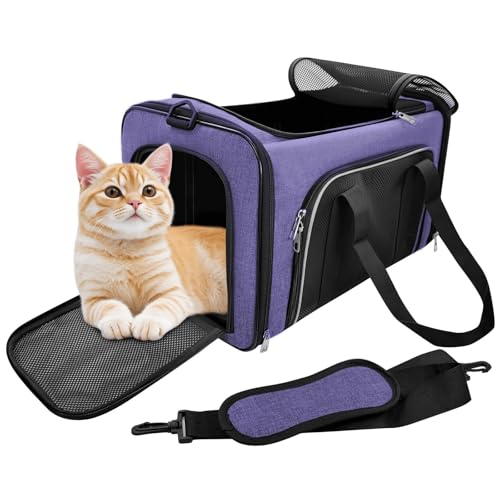 CareCooo Katzen Transporttasche Faltbar für Katzen und Kleine Hunde bis 10kg – Robuste Katzentasche Transporttasche Groß mit Versteckbarem Dachfenster (Violett, 50x30x30cm) von CareCooo