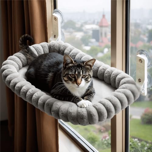 Katzen Fensterliege mit Saugnapf, Stabiler Katzenbett Fensterbank aus Plüsch, Katzen Hängematte Fenster mit Abnehmbarem Waschbarem Bezug, Fensterliege für Katzen – bis 18 kg belastbar, Grau Katzen Fensterliege mit Saugnapf, Stabiler Katzenbett Fensterbank aus Plüsch, Katzen Hängematte Fenster mit Abnehmbarem Waschbarem Bezug, Fensterliege für Katzen – bis 18 kg belastbar, Grau von CareCooo