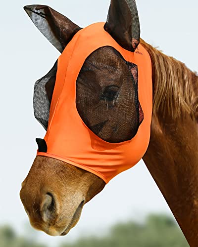 CareMaster Dehnbare Fliegenmaske für Pferde, Orange (M; Cob) von CareMaster