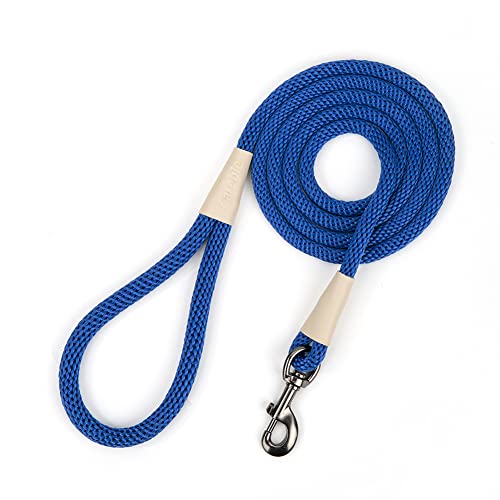 Hundeleine, Retrieverleine und Schnapsleine, starkes, langlebiges Nylon-Seil, geflochten, für kleine, mittelgroße und große Hunde (S 1,8 x 0,9 cm, mit Schnappbefestigung, blau) von Careble