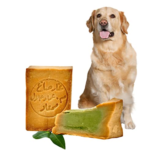 Carenesse natürliche Hundeseife mit Olivenöl 1x180g I vegane Fellseife I Tiershampoo für jeden Felltyp I Reinigung & Fellpflege für Haustiere I festes Hunde,- und Katzen-Shampoo ohne Chemie & Plastik Carenesse natürliche Hundeseife mit Olivenöl 1x180g I vegane Fellseife I Tiershampoo für jeden Felltyp I Reinigung & Fellpflege für Haustiere I festes Hunde,- und Katzen-Shampoo ohne Chemie & Plastik von Carenesse