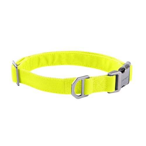 Carhartt Field Hundehalsband, voll verstellbar, strapazierfähiges 600-Denier-Gewebe mit reflektierendem Schriftzug für Sichtbarkeit, Brite-Limettengrün, Größe L Carhartt Field Hundehalsband, voll verstellbar, strapazierfähiges 600-Denier-Gewebe mit reflektierendem Schriftzug für Sichtbarkeit, Brite-Limettengrün, Größe L von Carhartt