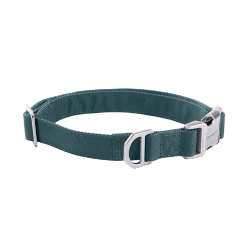 Carhartt Field Hundehalsband, voll verstellbar, strapazierfähiges 600-Denier-Gewebe mit reflektierendem Schriftzug für Sichtbarkeit, Grünstein, Größe M Carhartt Field Hundehalsband, voll verstellbar, strapazierfähiges 600-Denier-Gewebe mit reflektierendem Schriftzug für Sichtbarkeit, Grünstein, Größe M von Carhartt