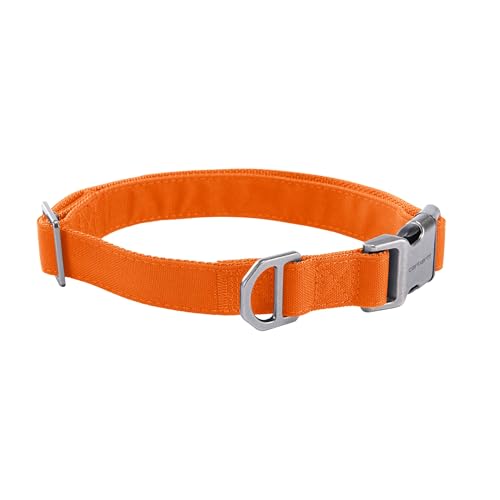 Carhartt Field Hundehalsband, voll verstellbar, strapazierfähiges 600-Denier-Gewebe mit reflektierendem Schriftzug für Sichtbarkeit, Jägerorange, Größe L Carhartt Field Hundehalsband, voll verstellbar, strapazierfähiges 600-Denier-Gewebe mit reflektierendem Schriftzug für Sichtbarkeit, Jägerorange, Größe L von Carhartt
