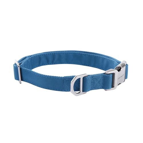 Carhartt Field Hundehalsband, voll verstellbar, strapazierfähiges 600-Denier-Gewebe mit reflektierendem Schriftzug für Sichtbarkeit, Marineblau, Größe M Carhartt Field Hundehalsband, voll verstellbar, strapazierfähiges 600-Denier-Gewebe mit reflektierendem Schriftzug für Sichtbarkeit, Marineblau, Größe M von Carhartt