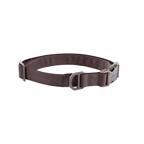 Carhartt Field Hundehalsband, voll verstellbar, strapazierfähiges 600-Denier-Gewebe mit reflektierendem Schriftzug für Sichtbarkeit, tiefer Weinrot, Größe L Carhartt Field Hundehalsband, voll verstellbar, strapazierfähiges 600-Denier-Gewebe mit reflektierendem Schriftzug für Sichtbarkeit, tiefer Weinrot, Größe L von Carhartt