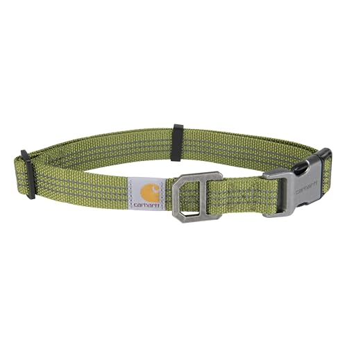 Carhartt Voll verstellbare Nylon-Gurtband-Halsbänder für Hunde, reflektierende Nähte für Sichtbarkeit, helles Moos (Nylon-Gurtband), Größe L von Carhartt