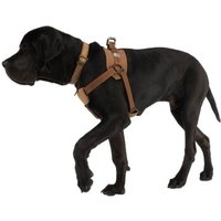 Carhartt Training Hundegeschirr von Carhartt