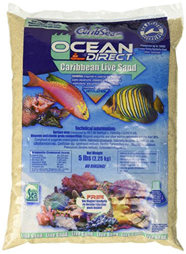 Carib Sea ACS00905 Ocean Direct Natürlicher lebender Sand für Aquarien, 2,3 kg von Carib Sea