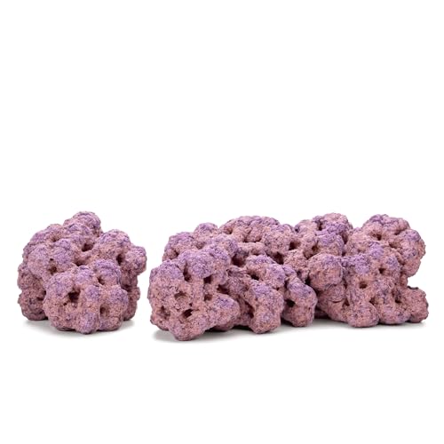 CaribSea Aquatics 455 ml Rock 2er Regal, 40-Pound von Carib Sea
