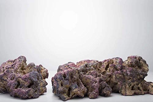 CaribSea Aquatics 455 ml Rock 2er Regal, 40-Pound CaribSea Aquatics 455 ml Rock 2er Regal, 40-Pound von Carib Sea