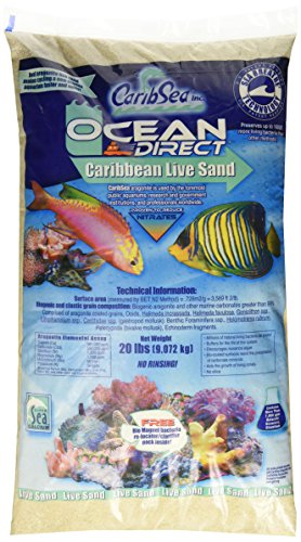 Carib Sea Ocean Direct Sand von Carib Sea