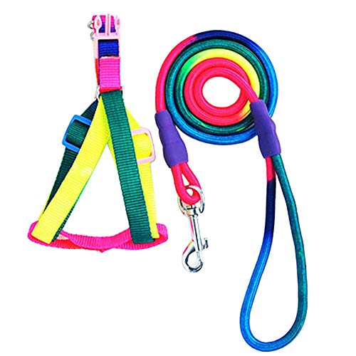 Tie-Out Leinen für Hunde 1Pcs Rainbow Color Weave Nylon Gürtel Haustier Hund Zugseil Runde Trainingsleine (,Multicolor, One Size) von Caritierily