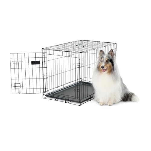 Carlson Hundekäfig, sicher und kompakt mit Einer Tür, Metall, mittlere Größe von Carlson Pet Products