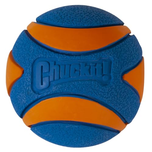 Chuckit! CH52069 Ultra Squeaker Ball Large 1-er Pack von Chuckit!