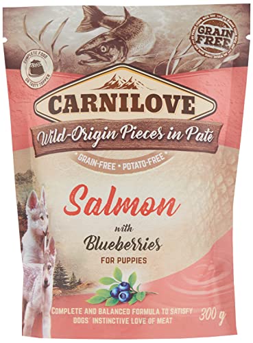 CARNILOVE 12x300 gr Dog Pouch zalm/blauwe BES voor Puppies hondenvoer von CARNILOVE