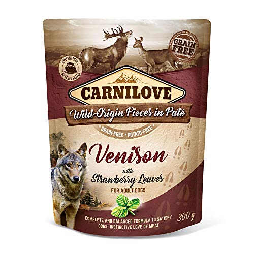 Carnilove Pouch Paté Venison & Strawberry Leaves | 300 g | Alleinfuttermittel für Hunde | Hirsch & Erdbeere | Kartoffel- und Getreidefrei Carnilove Pouch Paté Venison & Strawberry Leaves | 300 g | Alleinfuttermittel für Hunde | Hirsch & Erdbeere | Kartoffel- und Getreidefrei von CARNILOVE