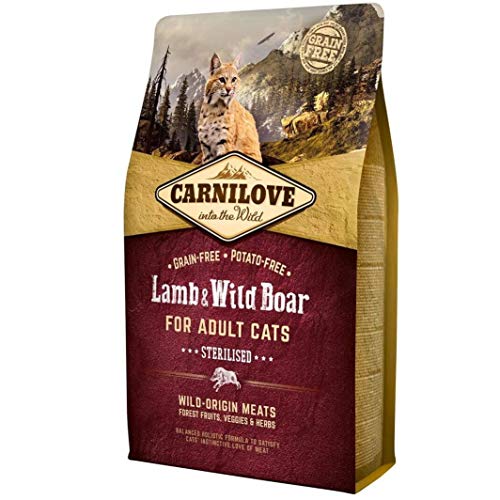 Carnilove 512324 Wild Boar Dry Cat Food, Lamb 400 g – Dry Food for Cats (Wild Boar, Lamb, 400 g, Any Breed) von CARNILOVE