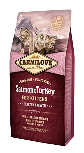 Carnilove Trockenfutter für Kätzchen mit Lachs und Pute von CARNILOVE