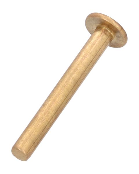 Carola Abstellbolzen Messing - Sicherungsbolzen für Tränkebecken B58 von Carola