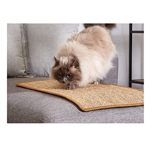 Kratzmatte für Katzen - Fußmatte Sisal Kratzteppich - natürliche Sisalmatte robust - Vorleger 100% Sisal - Katzenkratzmatte braun 30x40 cm 2er Set von Carpido