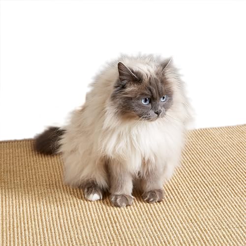 Kratzmatte für Katzen - Fußmatte Sisal Kratzteppich - natürliche Sisalmatte robust - Vorleger aus 100% Sisal - Farbe: Natur 160 x 230 cm von Carpido