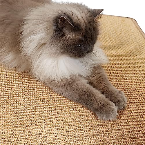 Kratzmatte für Katzen - Fußmatte Sisal Kratzteppich - natürliche Sisalmatte robust - Vorleger aus 100% Sisal - Katzenkratzmatte Natur 30 x 40 cm von Carpido