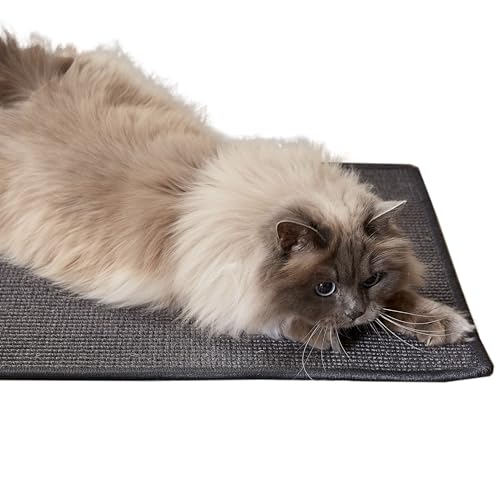 Kratzmatte für Katzen - Fußmatte Sisal Kratzteppich - natürliche Sisalmatte robust - Vorleger aus 100% Sisal - Farbe: anthrazit 160 x 230 cm von Carpido