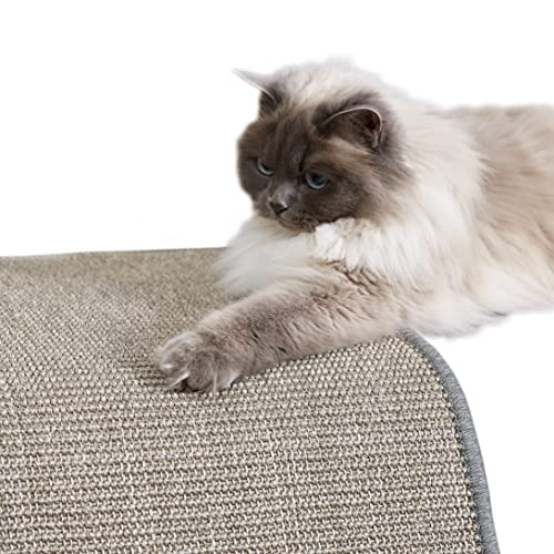 Kratzmatte für Katzen - Fußmatte Sisal Kratzteppich - natürliche Sisalmatte robust - Vorleger aus 100% Sisal - Katzenkratzmatte grau 40 x 60 cm von Carpido